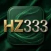 HZ333
